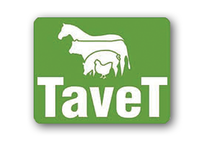 tavet-2